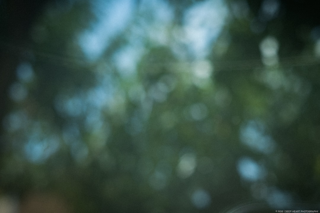 Mengungkap Rahasia Togel DV188: Panduan, Tips, dan Strategi